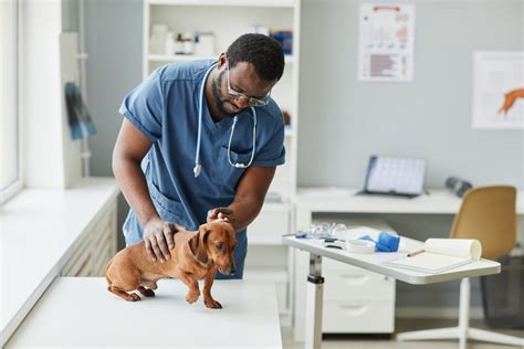 How much do veterinary technicians make. Things To Know About How much do veterinary technicians make. 